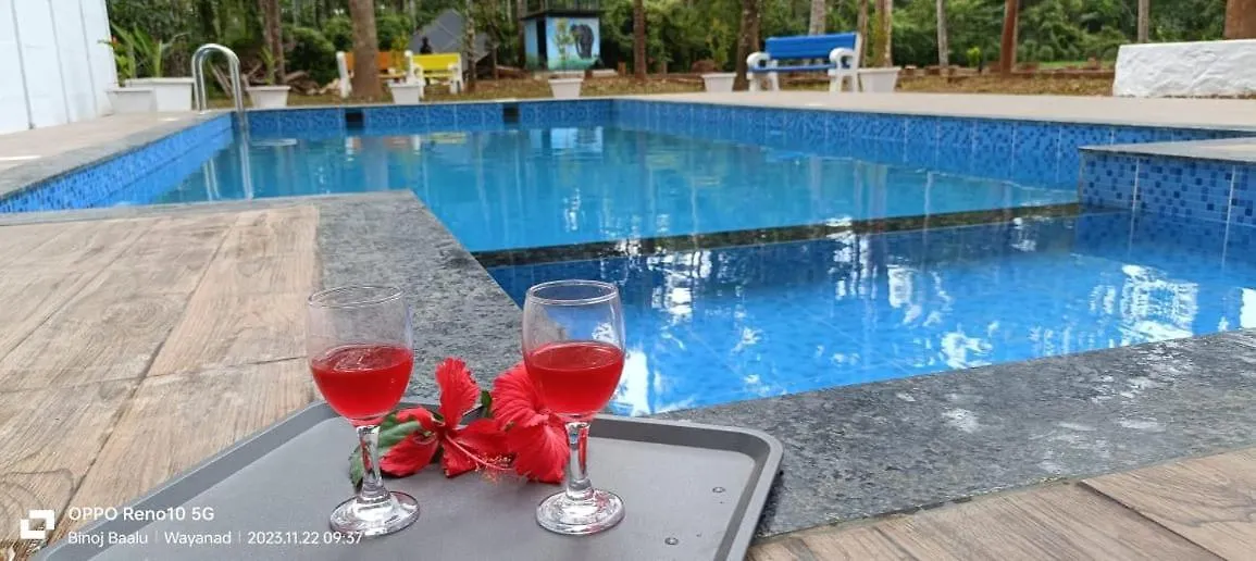 Paddyfield Inn Mananthavady India
