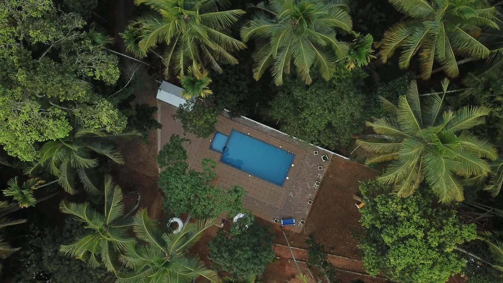 Paddyfield Inn Mananthavady